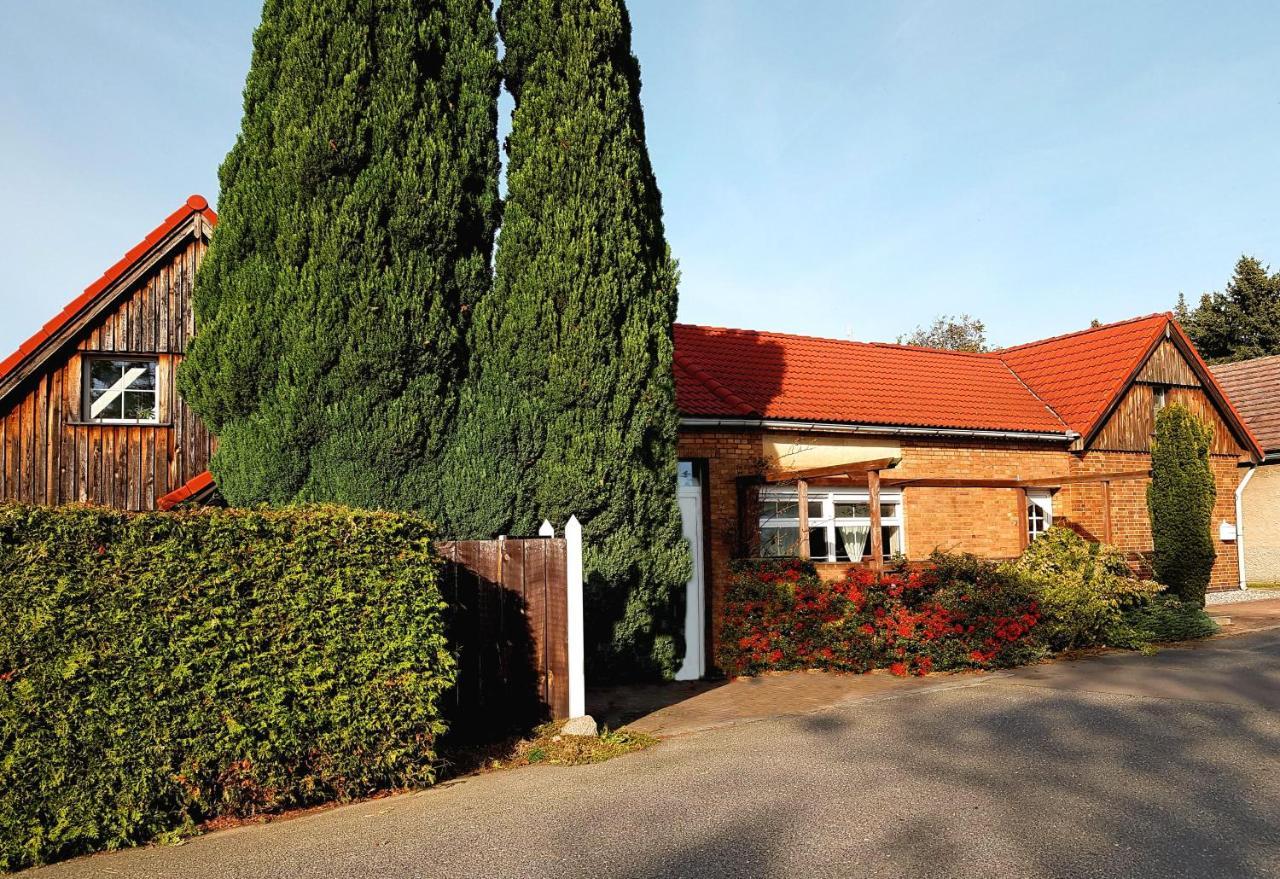 Auszeit Wohnung Hof Narla Bahnsdorf Экстерьер фото
